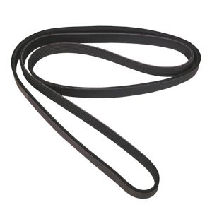 Omix-ADA Serpentine Belt For 1997-02 Wrangler TJ And 1996-98 Grand Cherokee With 2.5L & AC 17111.09