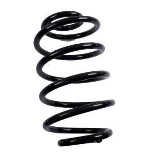 Omix-ADA Coil Spring Rear For 1997-06 Jeep  Wrangler TJ 18274.02